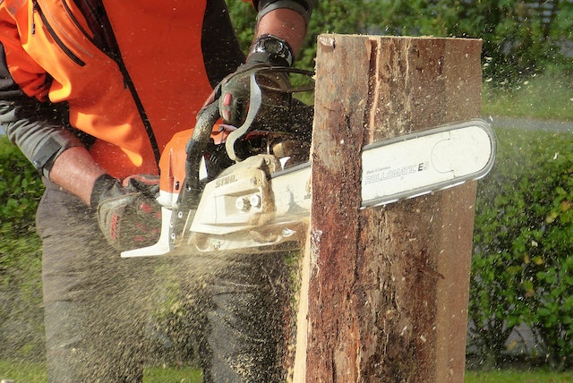 chainsaw going through stump